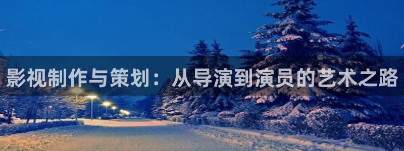 看你往哪跑免费观看西瓜：影视制作与策划：从导演到演员的艺术之路