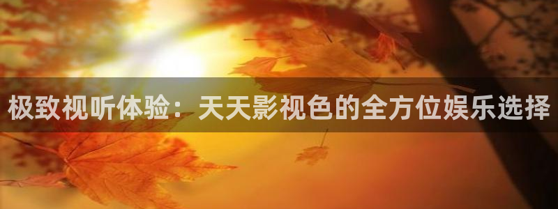 双面胶电视免费观看西瓜：极致视听体验：天天影视色的全方位娱乐选择
