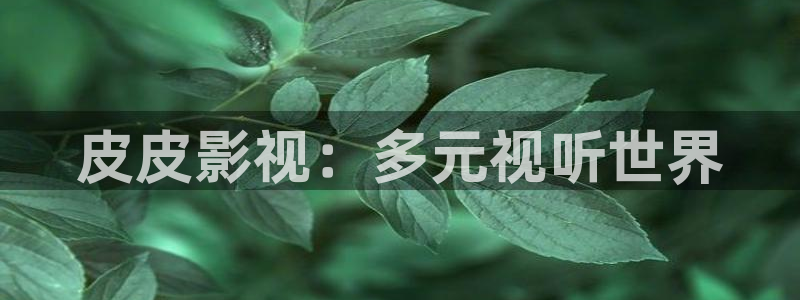 花间令西瓜免费观看：皮皮影视：多元视听世界