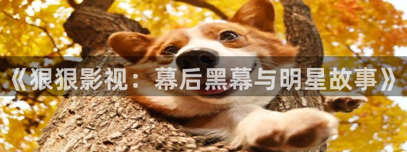 宿敌西瓜免费观看：《狠狠影视：幕后黑幕与明星故事》