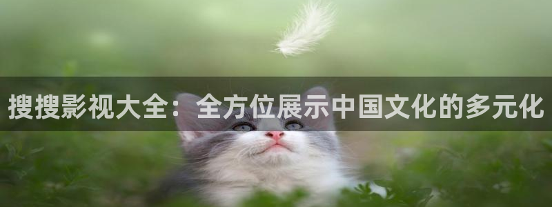 西瓜是：搜搜影视大全：全方位展示中国文化的多元化